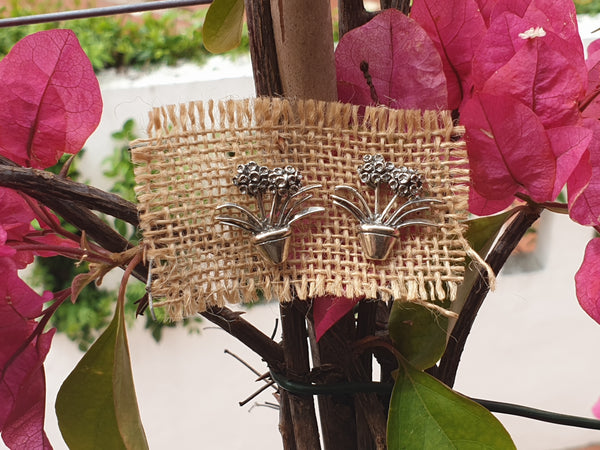 Pendientes maceta "clivia"