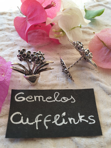 Gemelos maceta "Clivia"